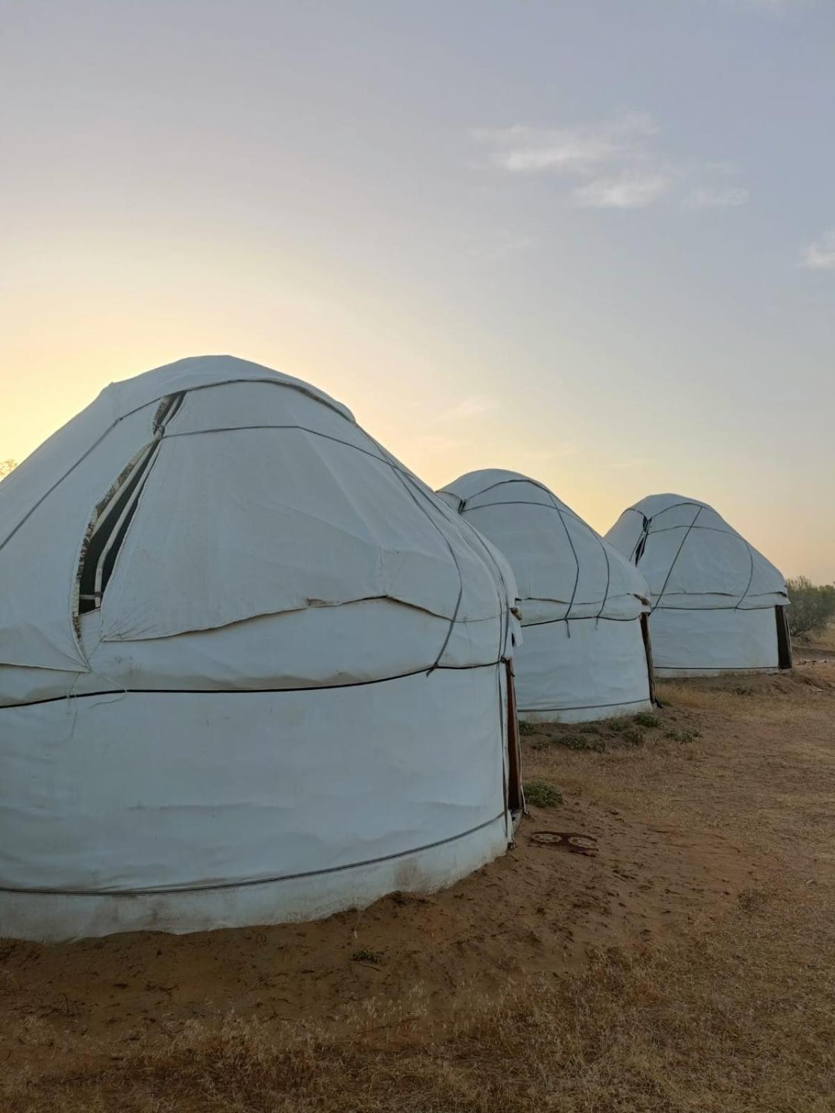 Kyzylkum Nights Camp & Family Yurt Hotell Nurota Exteriör bild